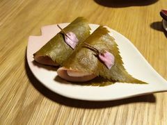 -柴务处·柴犬主题狗咖