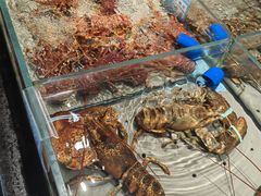 -渔傅·霞浦滩涂海鲜(建平店)
