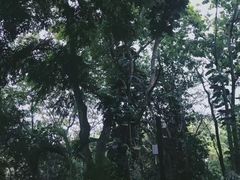 -清迈夜间动物园