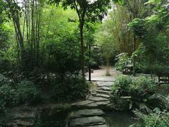 -大屏嶂森林公园