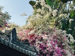 -深圳国际园林花卉博览园