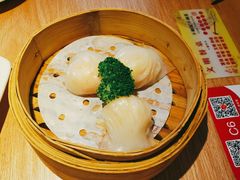 -南枝记