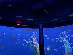 -沈阳海洋探索中心