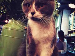 -MIKAKU(万达广场上海宝山店)