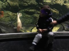-江和美海洋公园
