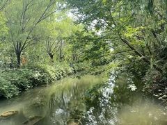 -洛阳市隋唐城遗址植物园