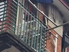 -上海鲁迅故居