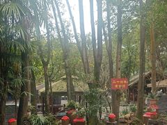 -土砂锅生态山庄·非遗砂锅雅鱼