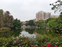 -荔湾湖公园
