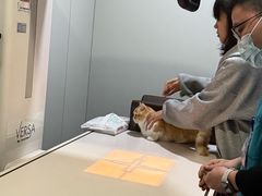 -宠颐生斯嘉宠物医院·急重症·心内科(谷阳北路分院)