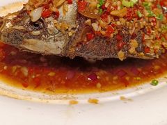 香酥大鲫鱼-费大厨辣椒炒肉(太平老街店)