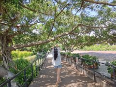-胡里山炮台