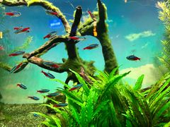 -沈阳海洋探索中心