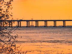 -宝安西湾红树林湿地公园