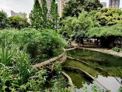 -成都市活水公园