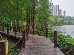 -重庆彩云湖湿地公园