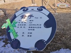 -石家庄市动物园