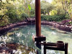 -苏州湾王焰温泉度假酒店