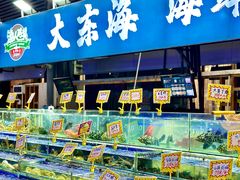 -大东海海鲜酒楼(渔人码头总店)