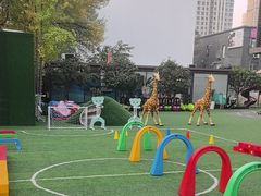 -天津蜂巢幼儿园·托育