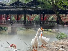 -车溪民俗旅游区