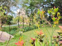 -人民公园(罗湖区)