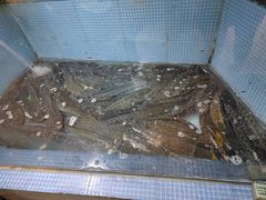 -湘芙蓉·湖南菜(椒江店)