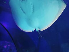 -沈阳海洋探索中心