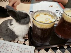 -大象厨房(重庆道店)