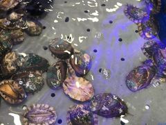-澜悦港海鲜体验主题餐厅