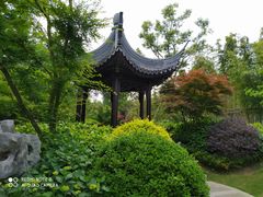 -上海共青森林公园