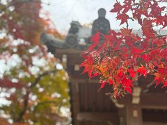 -常寂光寺