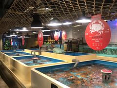 水产区-日进一片海.生腌海鲜火锅.宵夜烧烤(三里屯总店)