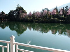 -蝴蝶泉公园
