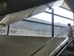 -首都医科大学附属北京天坛医院
