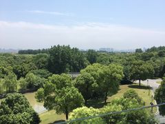 -上海佘山世茂艾美酒店