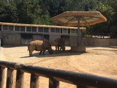 -泉州海丝野生动物世界