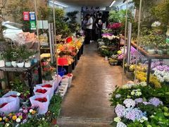 -溪岸路花鸟市场