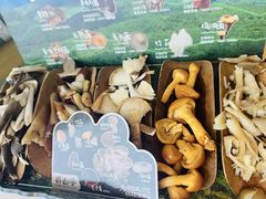 -芸山季·云南山珍菌火锅(南翔印象城MEGA店)