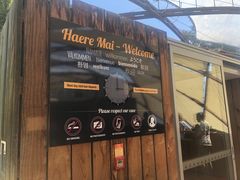 -怀托摩萤火虫洞