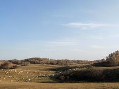 -塞罕坝国家级自然保护区