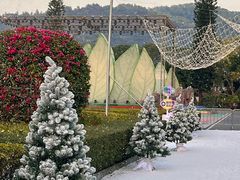 -东南花都花博园