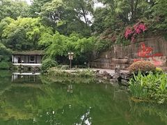 -忠山公园