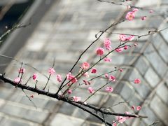 -绍兴大禹开元观堂-若耶厅