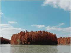 -上海海湾国家森林公园