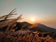 -大围山国家森林公园