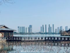 -渤公岛生态公园