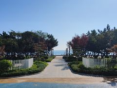 -日照灯塔风景区