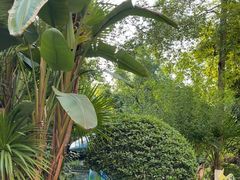 -海兰云天度假区温泉