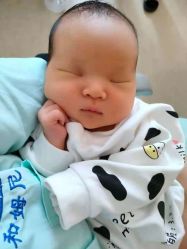 -上海市嘉定区妇幼保健院